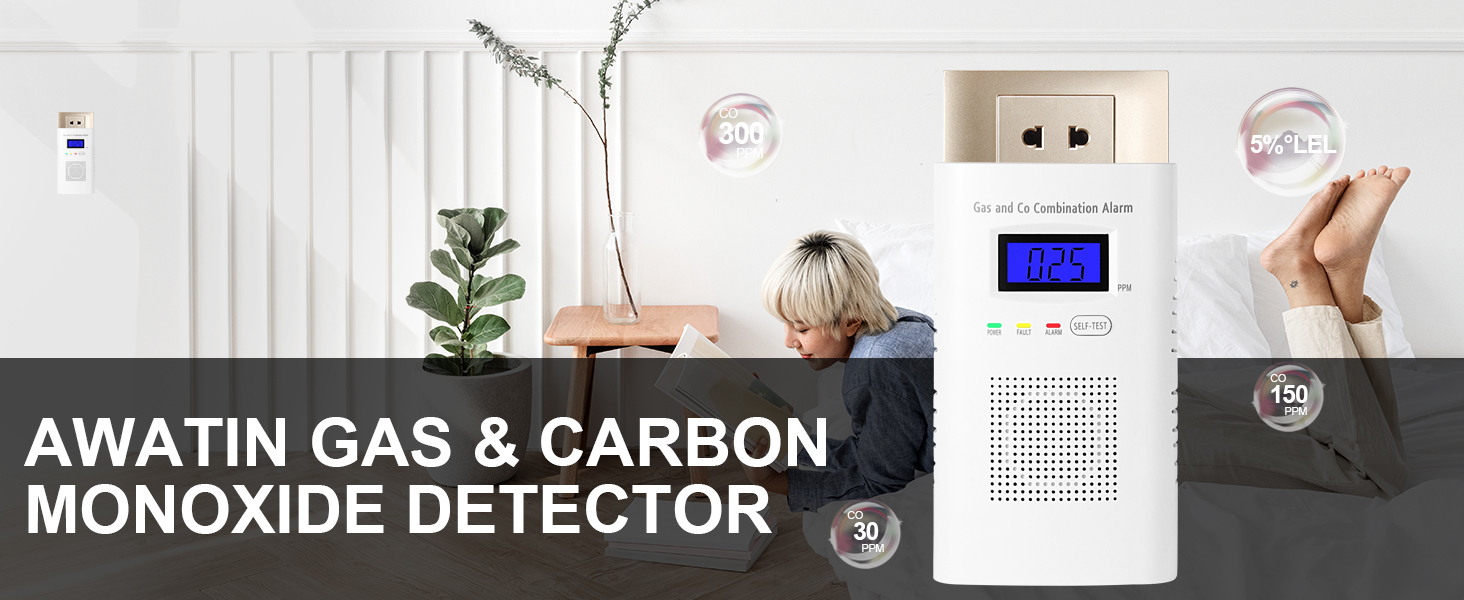 gas and carbon monoxide detector