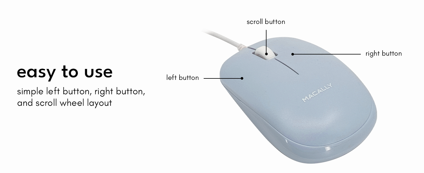 mouse