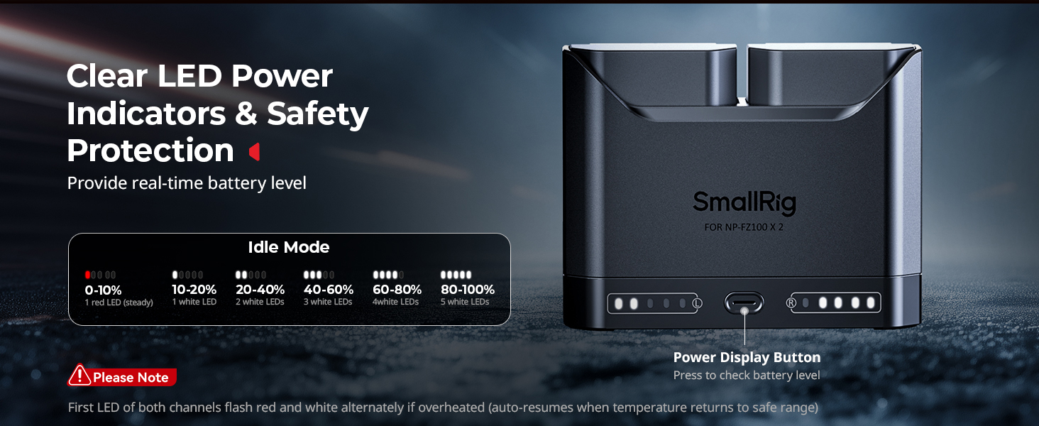 np-fz100 battery charger