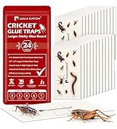 LULUCATCH Cricket Insect Glue Traps - 24 Pack Bug Sticky Traps, Large &amp; Adhesive Spider Scorpion ...