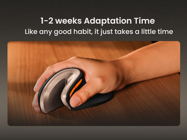 Ergonomic Vertical Mouse