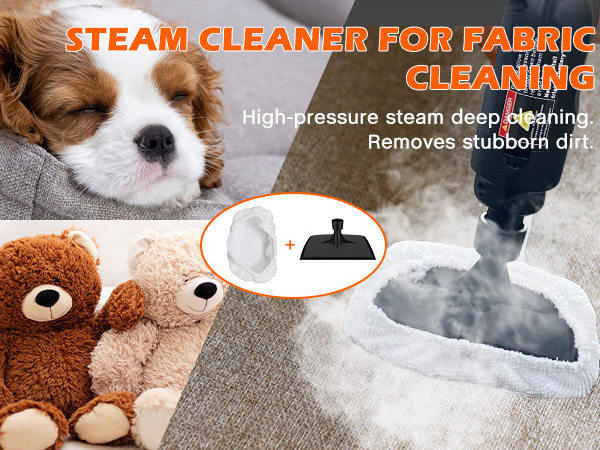 steam cleaner