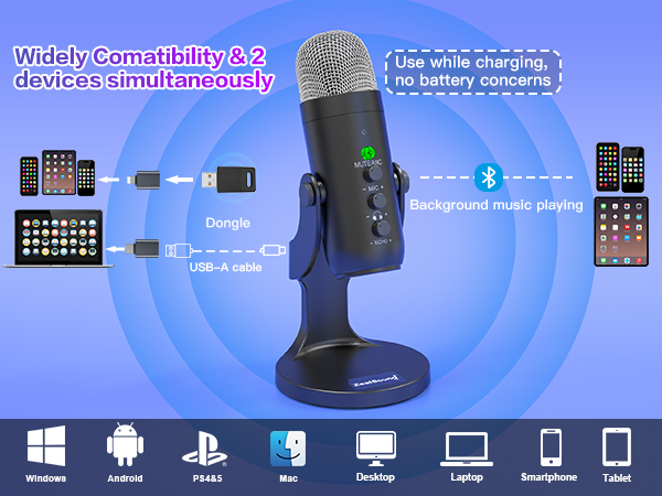 mic