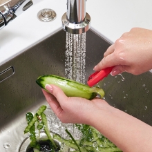 sink disposal septic safe food preparation