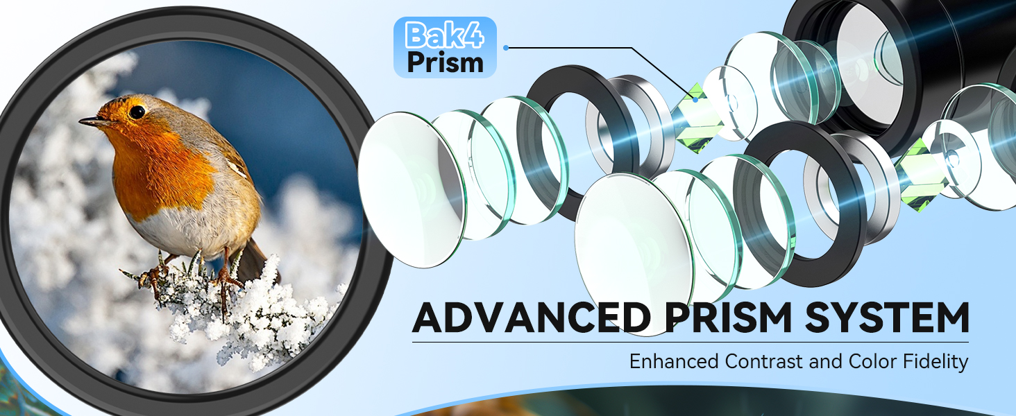 binoculars for adults high powered