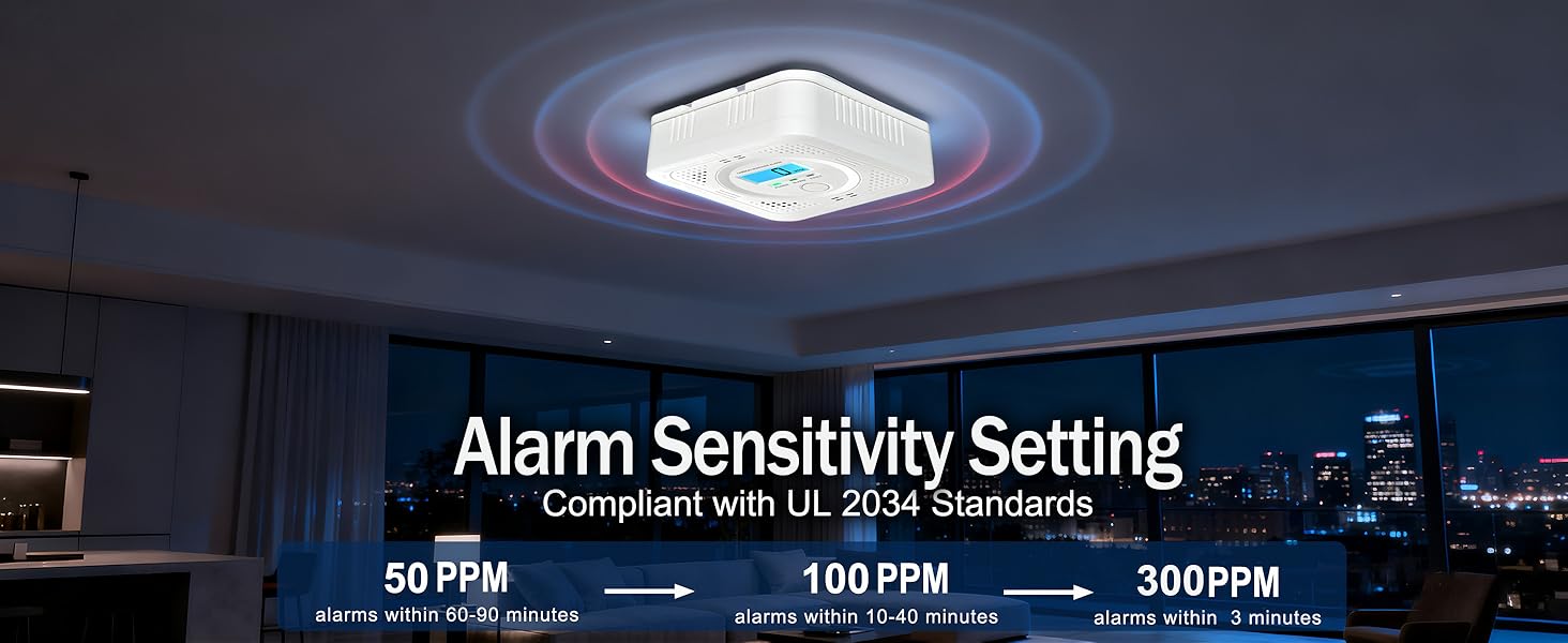 carbon monoxide detector