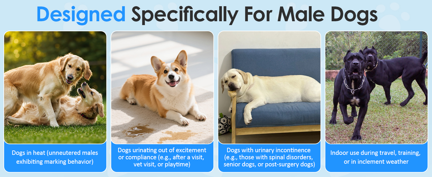 Designed Specifically For Male Dogs