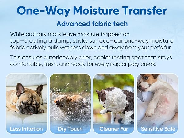 Rywell Super-Absorbent Cooling Mat for Dogs