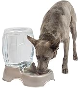 Petmate Pet Cafe Cat and Dog Water Dispenser - Water Bowl for Cats and Dogs, USA Made, 3 GAL, Pea...