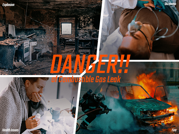 PT177 Natural Gas Detector Gas Leak Detector