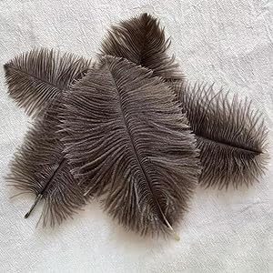Fluffy Ostrich Feathers