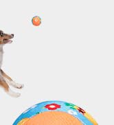 KOOLTAIL Floating Dog Pool Toys - Summer Dog Bouncing Water Toys for Swimming Pool, Interactive D...