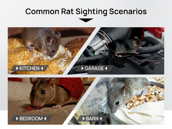 Electric Rat Trap-005