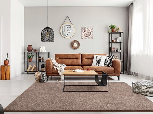 brown and white living room rug