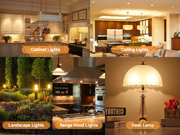 12 volt led light bulbs