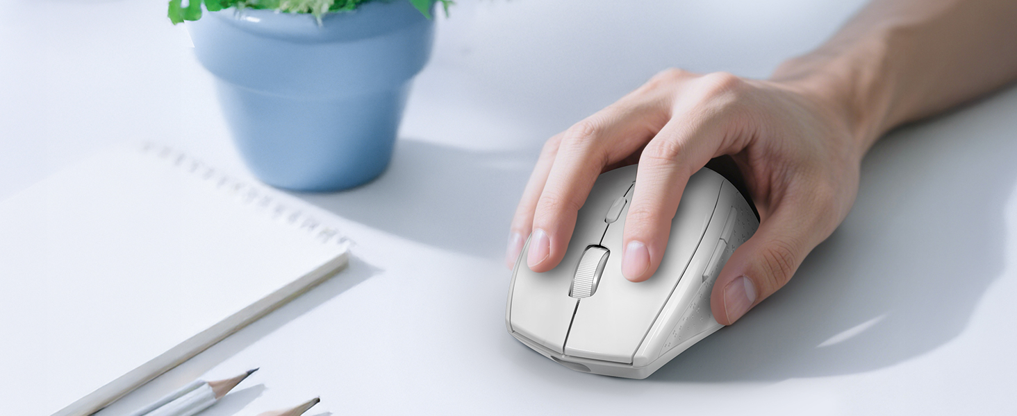 mouse