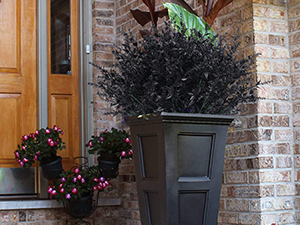 Fake faux greenery plants are perfect home, hotels, terrace, office, guesthouses, garden