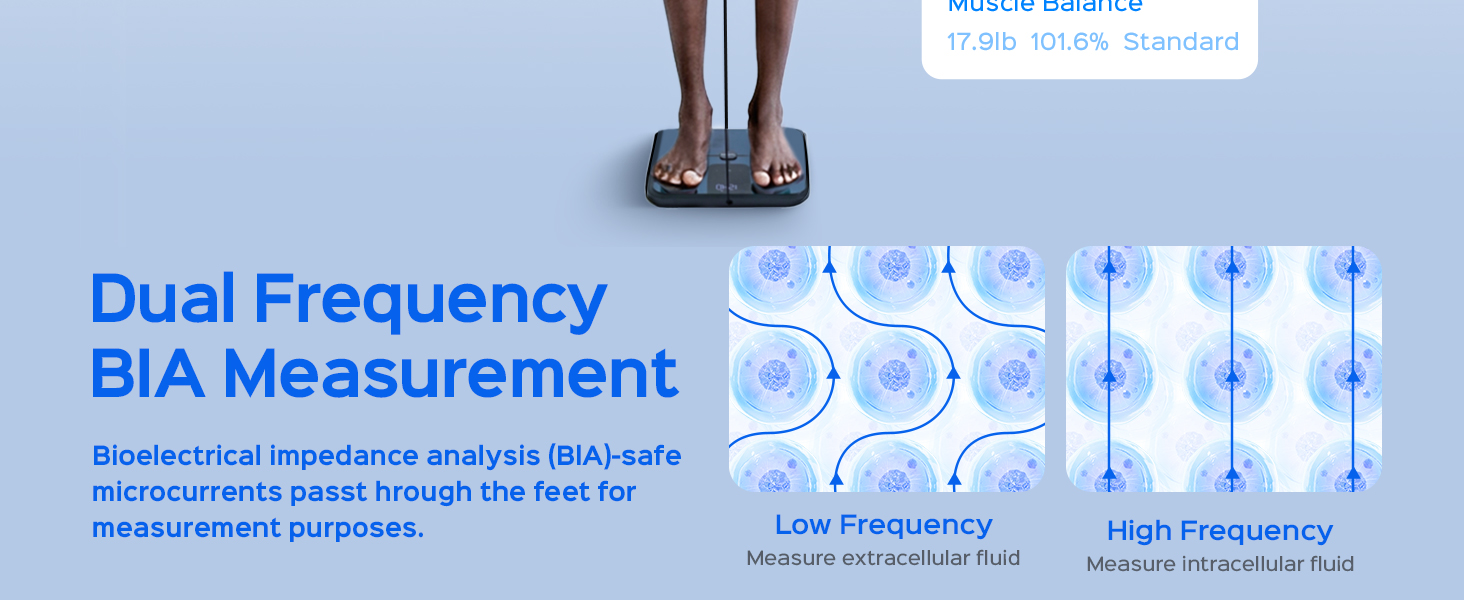hume health body pod scale