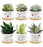 6Pcs Nurse Appreciation Gifts Succulent Pots Nurses Day Gifts Mini Ceramic Plant Pot with Bamboo ...