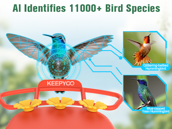 smart hummingbird feeder with camera