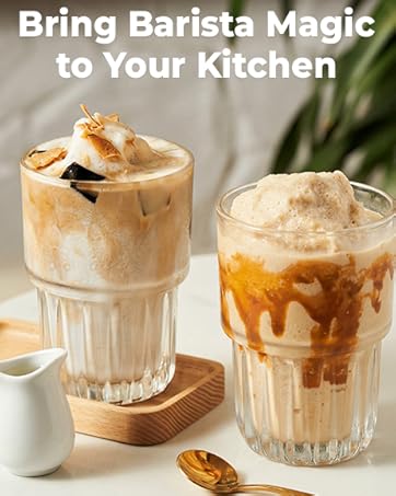 frother handheld
