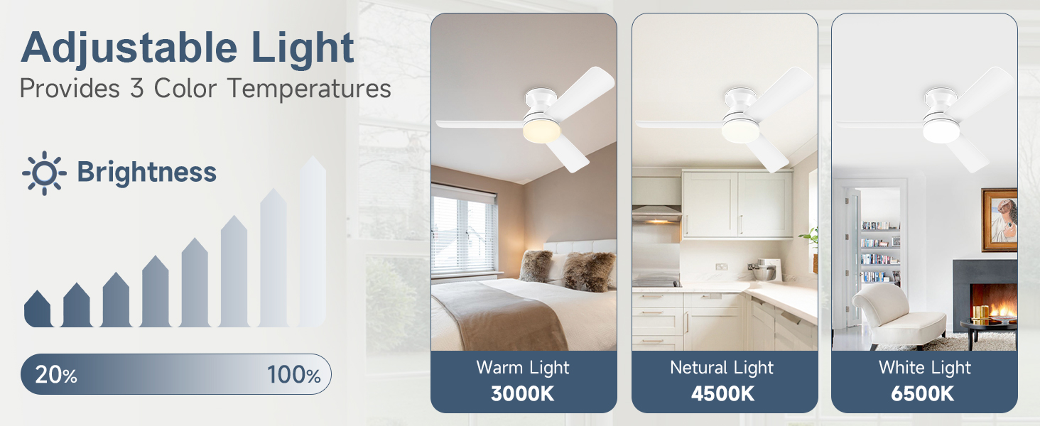 ceiling fan