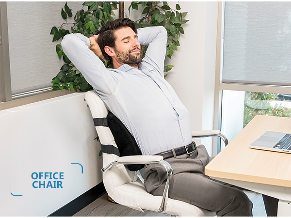 lumbar support back pillow