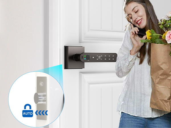 Smart door handle grey