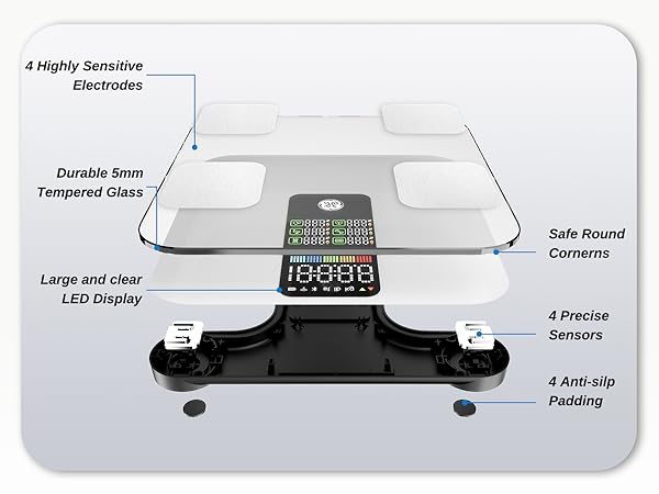 Large and clear LED Display