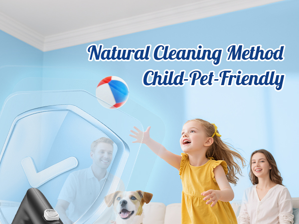 steam cleaner