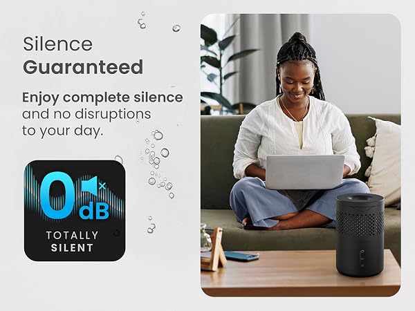 Marketing image showing '0 dB Totally Silent' feature promotion, with person using laptop in home setting demonstrating quiet operation.