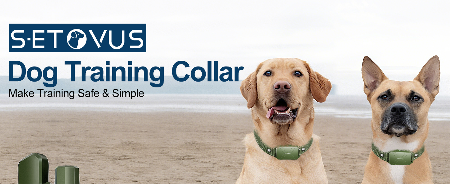 dog training collar