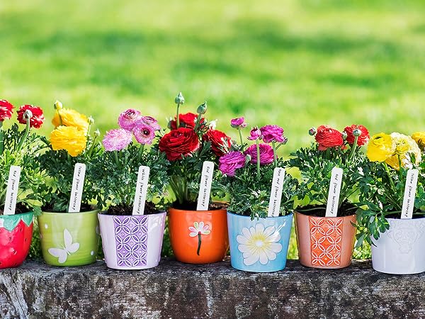 plant labels