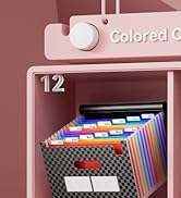 accordion file organizer