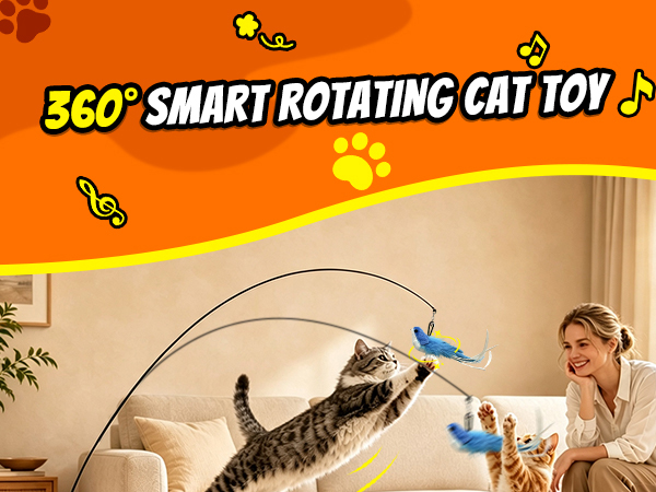 Interactive Cat Toys