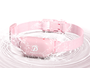 dog training collar
