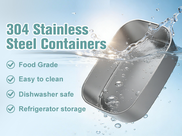 heated lunch box for men