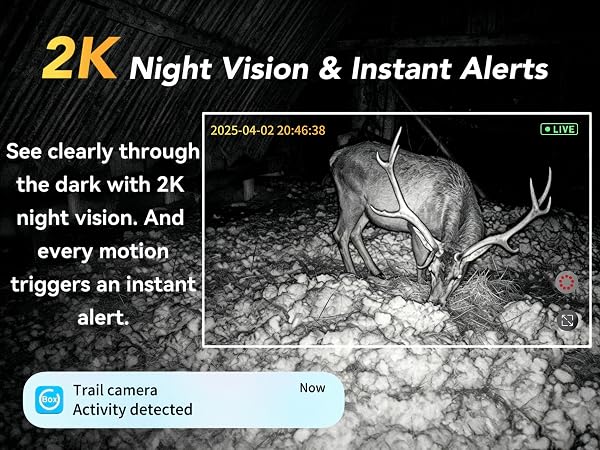 Instant alert