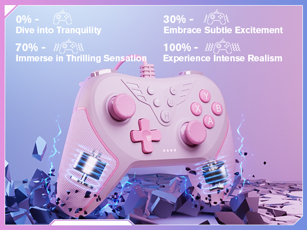 controller pc