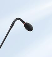 Gooseneck Condenser Microphone