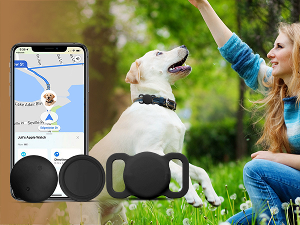 pet location tracker with collar