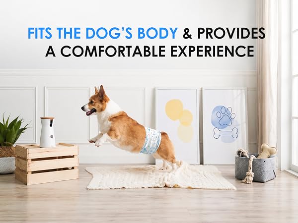 FITS THE DOG&amp;#39;S BODY &amp;amp; PROVIDESA COMFORTABLE EXPERIENCE