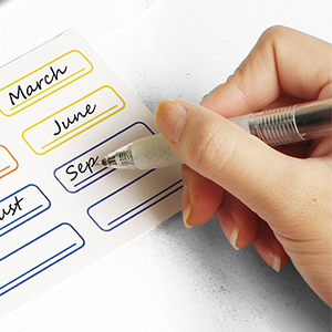 plastic accordion file organizer