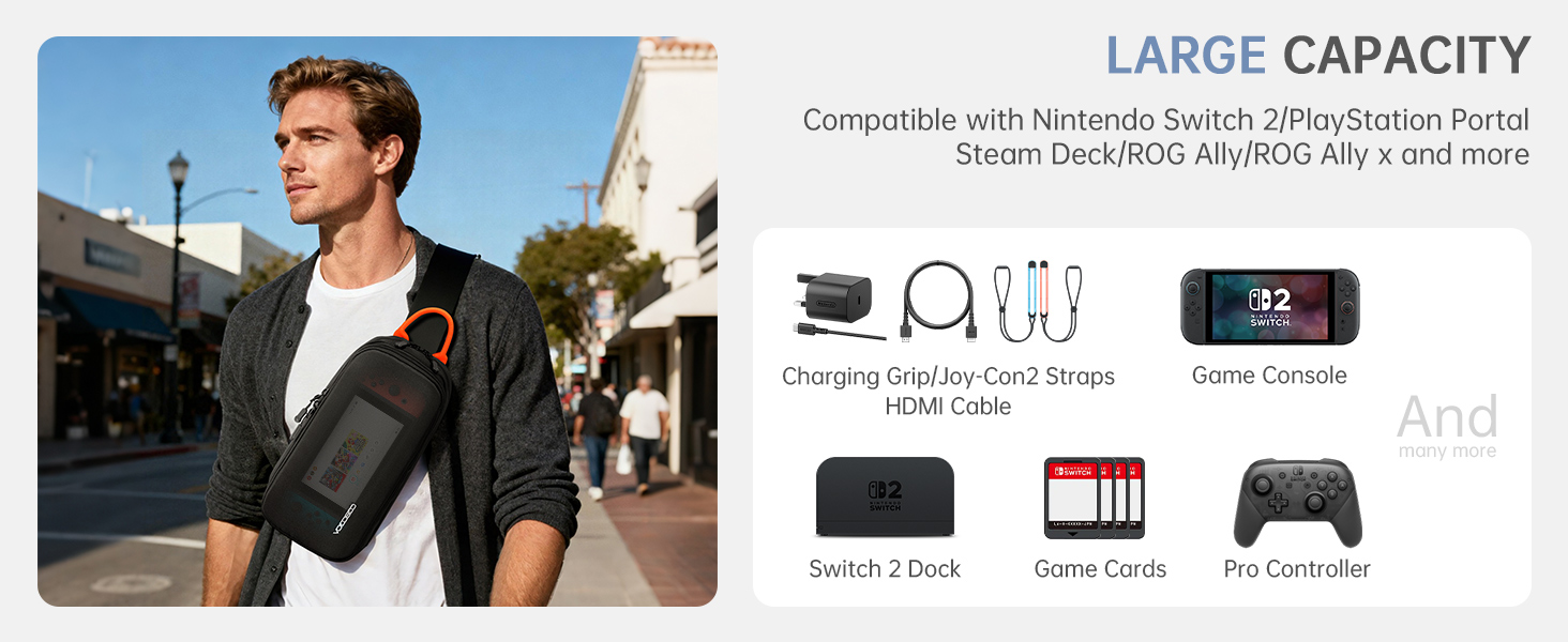 Switch 2 bag Switch 2 case