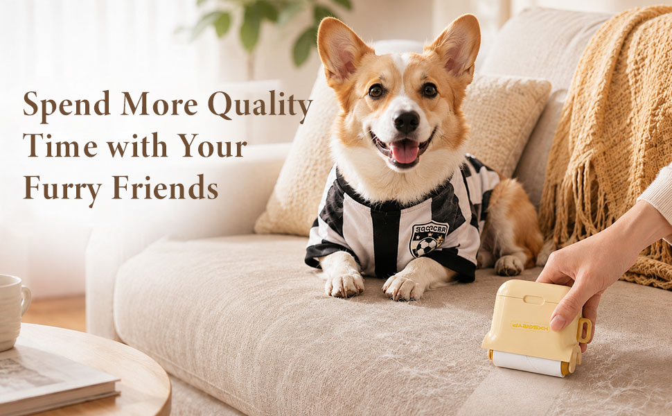 Portable Travel Essentials Pet Hair Rollers for sofa