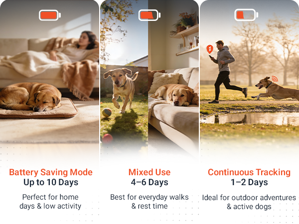 pet loaction tracker