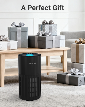 Air purifier for home