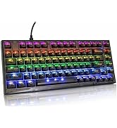ZDawnn 80% Transparent Mechanical Gaming Keyboard with Hot Swappable Gasket. RGB Backlit Compact ...
