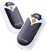 Electric Hand Warmers Rechargeable 2 Pack, Cute Eagle Handwarmer with LED Display, AI Temp Contro...