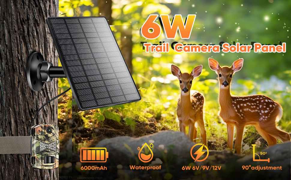 Solar Panel
